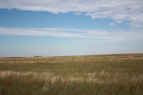 Property photo 37 - LAND AUCTION, 3255+/- Acres offered in 13 Tracts